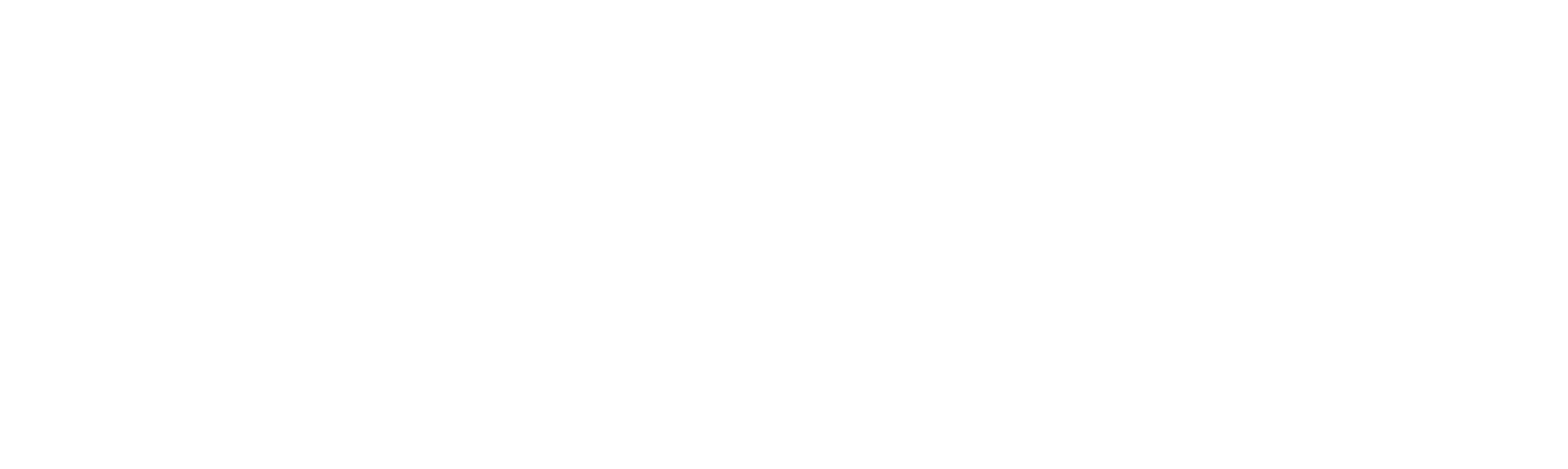 Dotwise logo